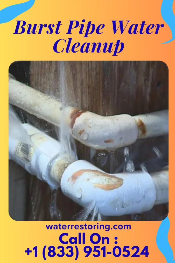 Burst Pipe Water Cleanup in Richton, MS
