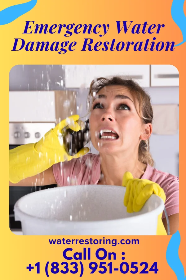 Emergency Water Damage Restoration in Richton, MS