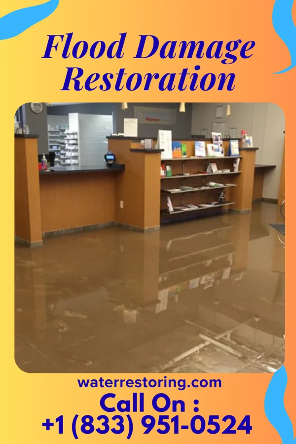 Flood Damage Restoration in Richton, MS