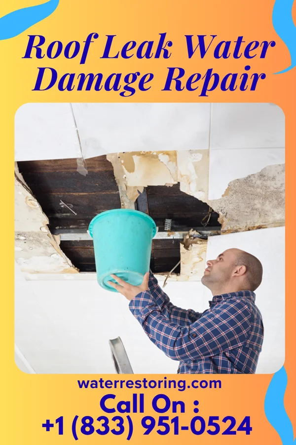 Roof Leak Water Damage Repair in Richton, MS